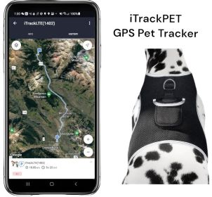 Get Realtime Location with Pet Tracker Mini Cat Dog GPS System Pet Tracker Size:S